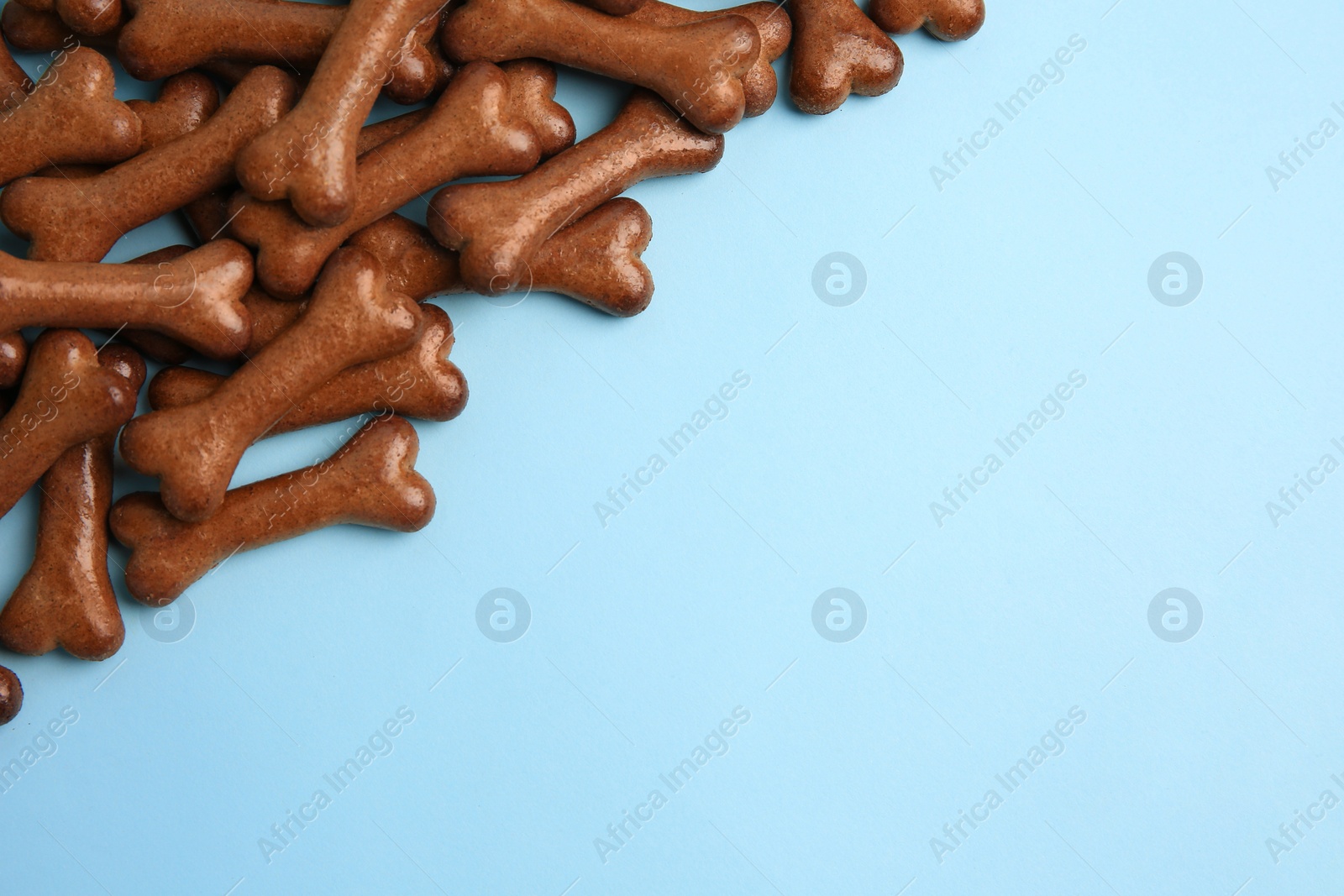 Photo of Bone shaped dog cookies on light blue background, flat lay. Space for text