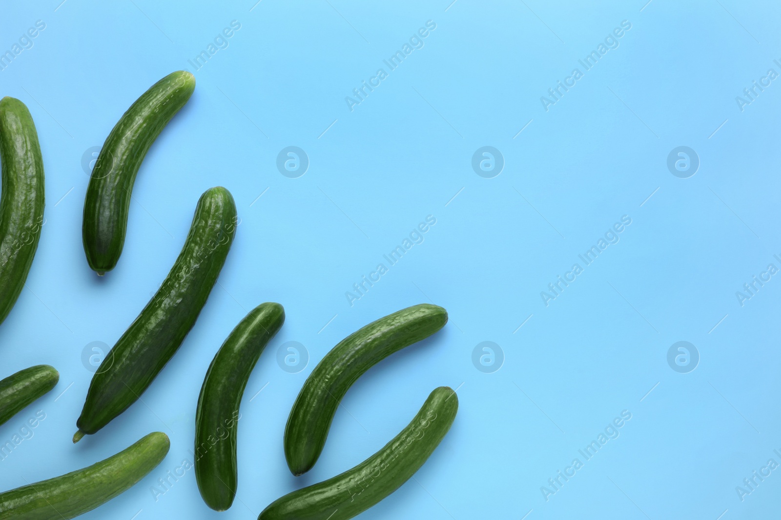 Photo of Fresh ripe cucumbers on light blue background, flat lay. Space for text