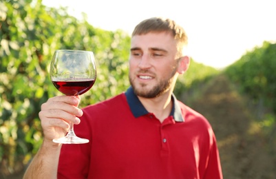 Photo of Handsome man enjoying wine at vineyard on sunny day