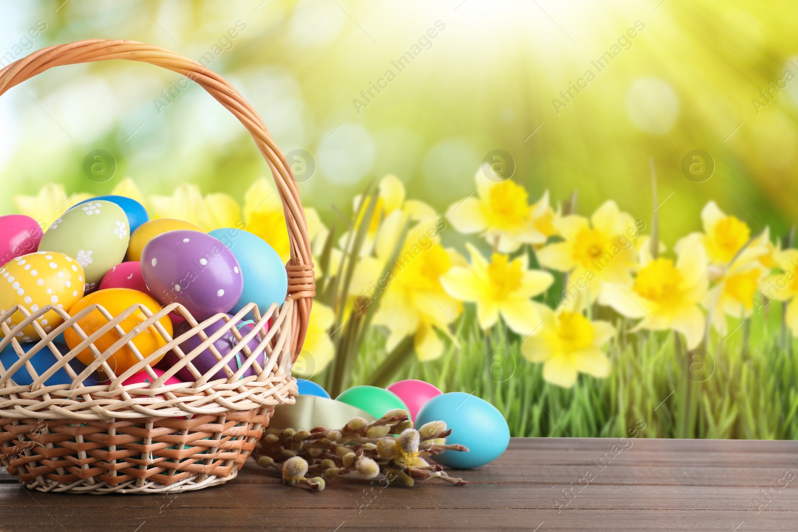 Image of Colorful Easter eggs in wicker basket and willow branches on wooden table outdoors, space for text