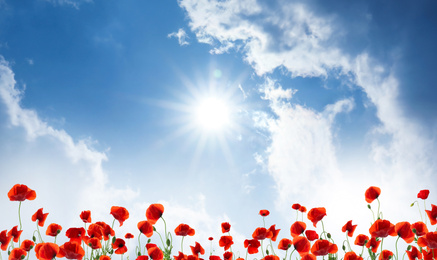 Image of Beautiful red poppy flowers under blue sky with clouds