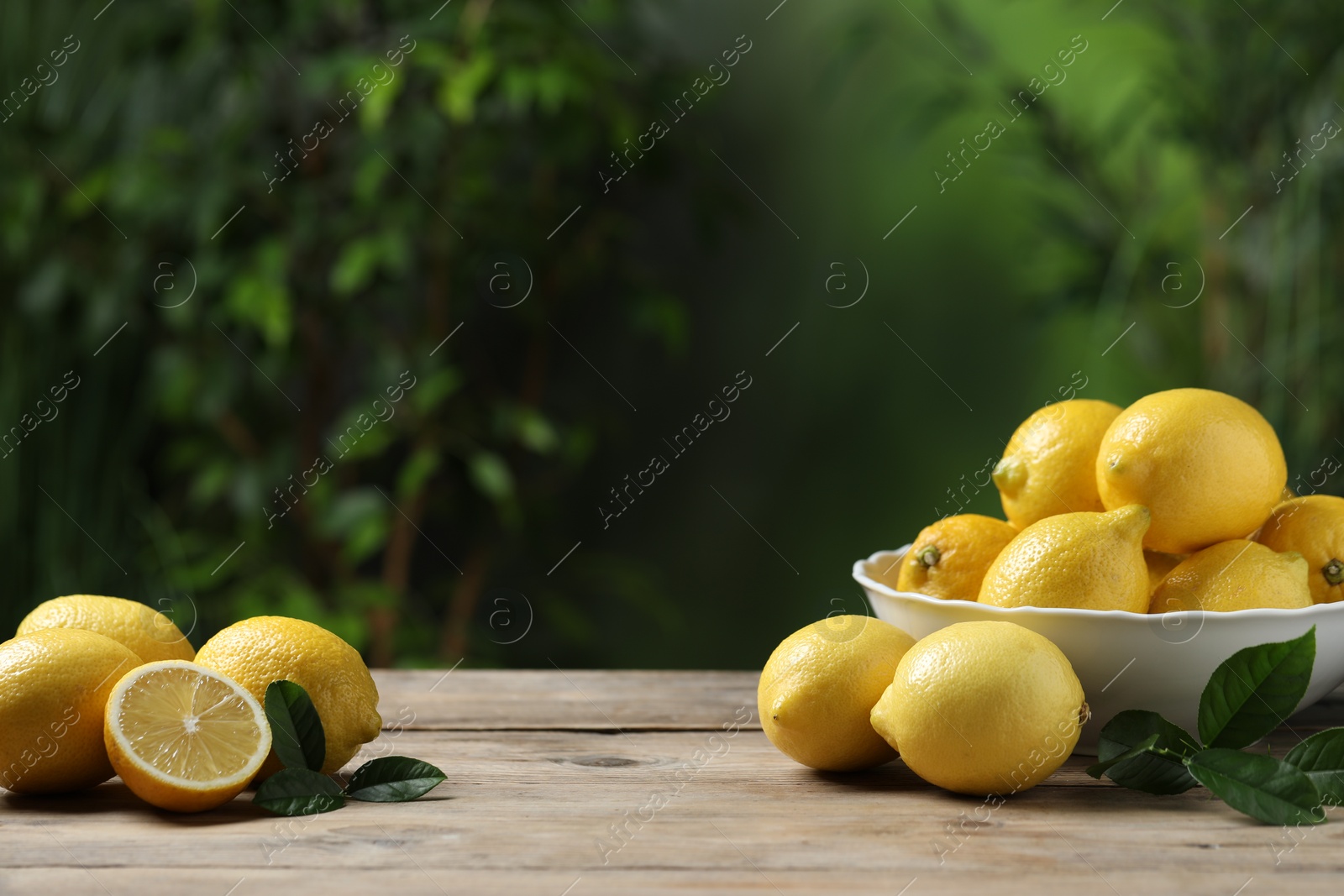 Photo of Fresh lemons and green leaves on wooden table. Space for text