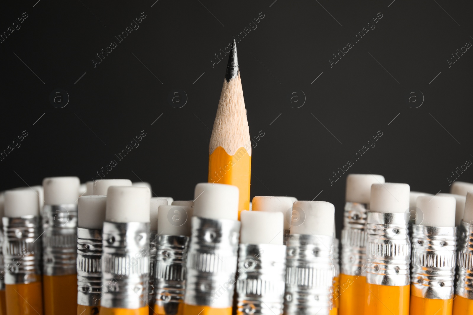 Photo of One pencil with sharp point standing out from others on black background, closeup