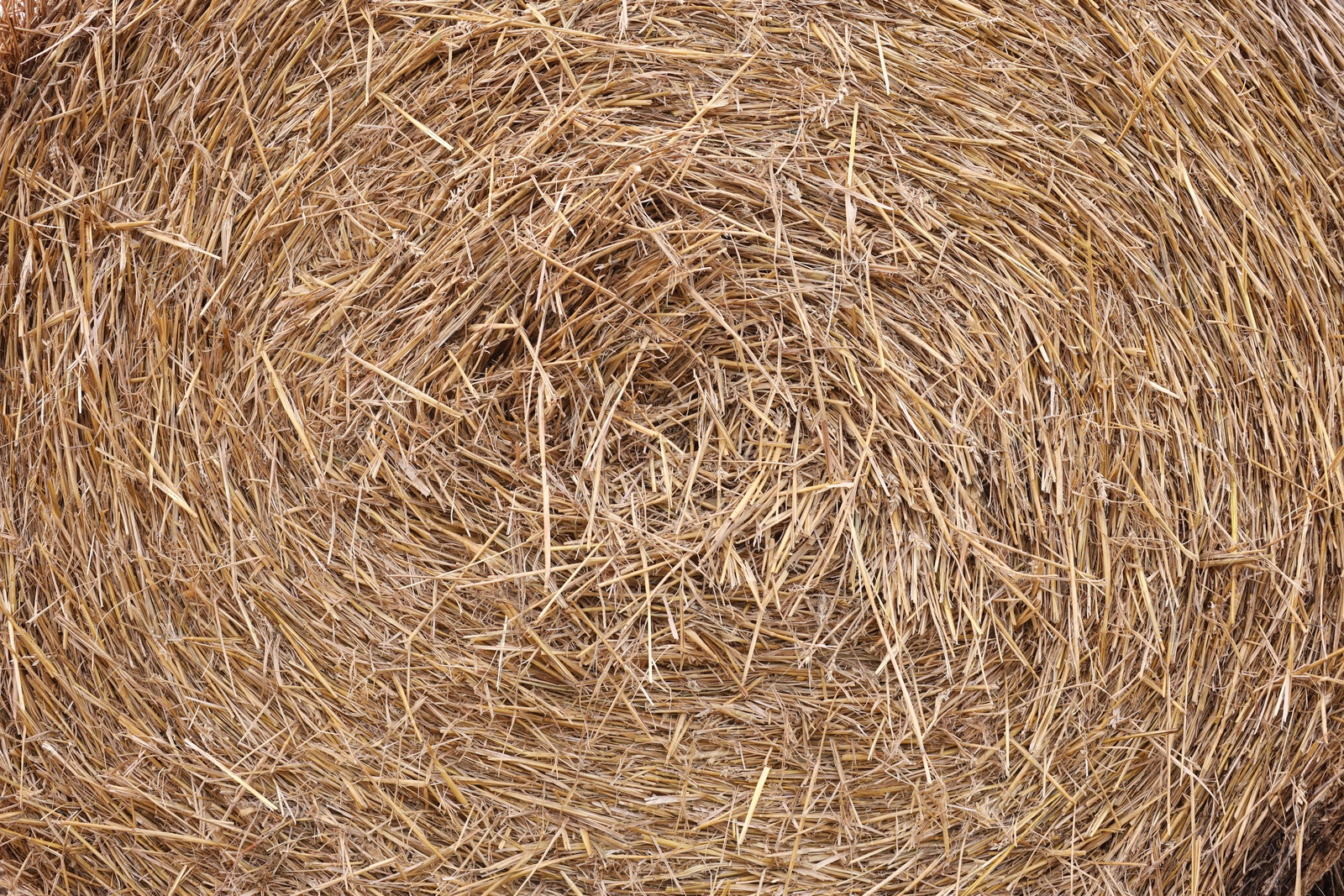 Photo of Hay bale roll as background, closeup view