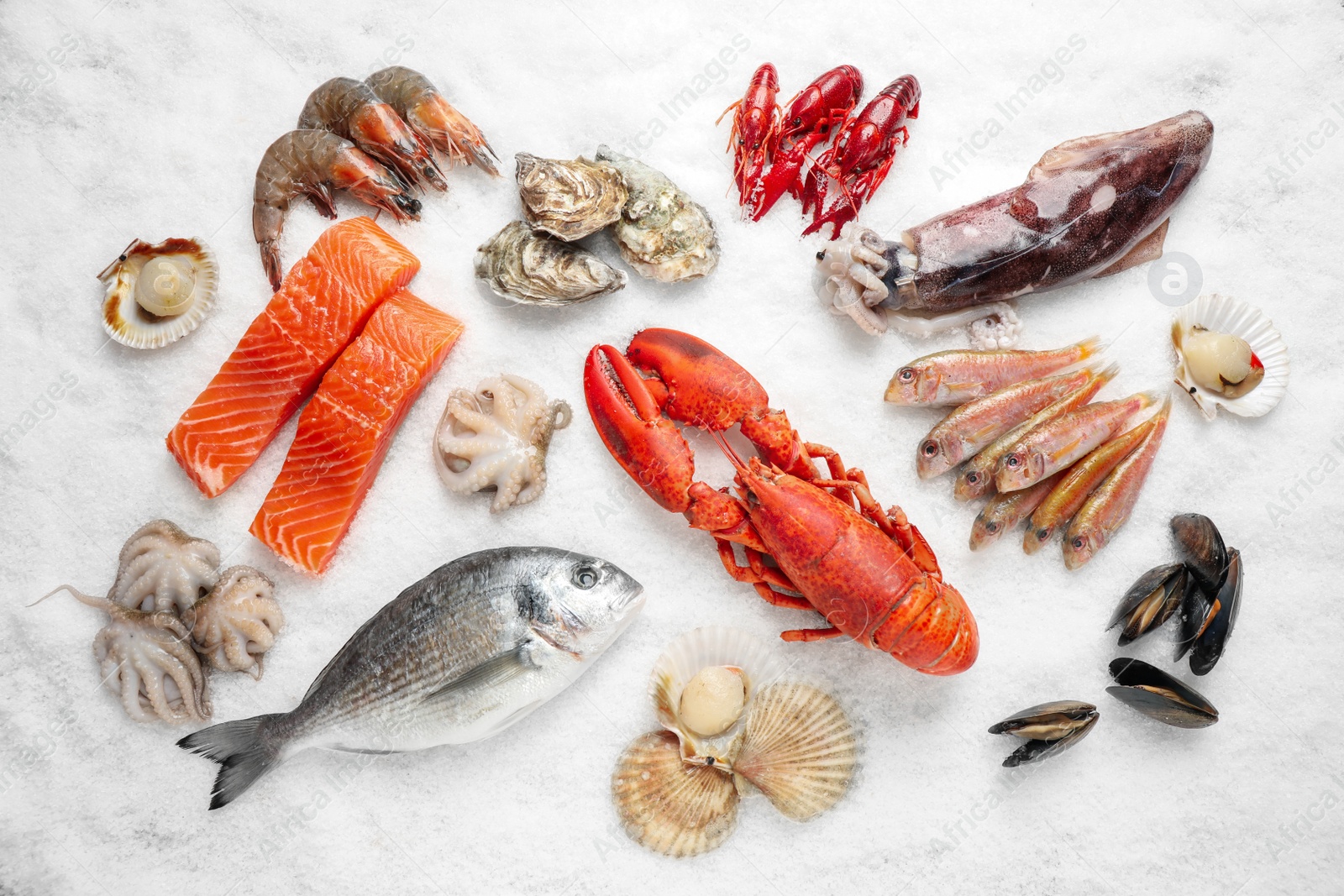 Photo of Fresh fish and seafood on ice, flat lay