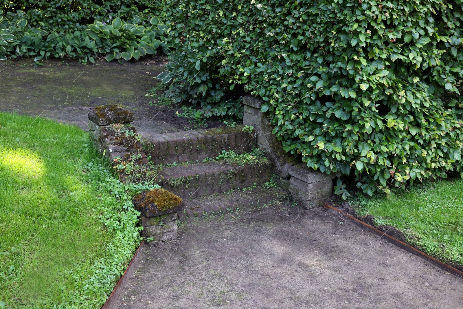 Photo of Old stone stairs and green plants outdoors