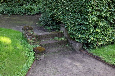 Old stone stairs and green plants outdoors