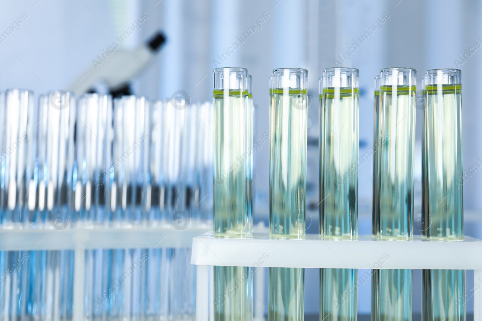 Photo of Test tubes with liquid on blurred background, space for text. Laboratory analysis