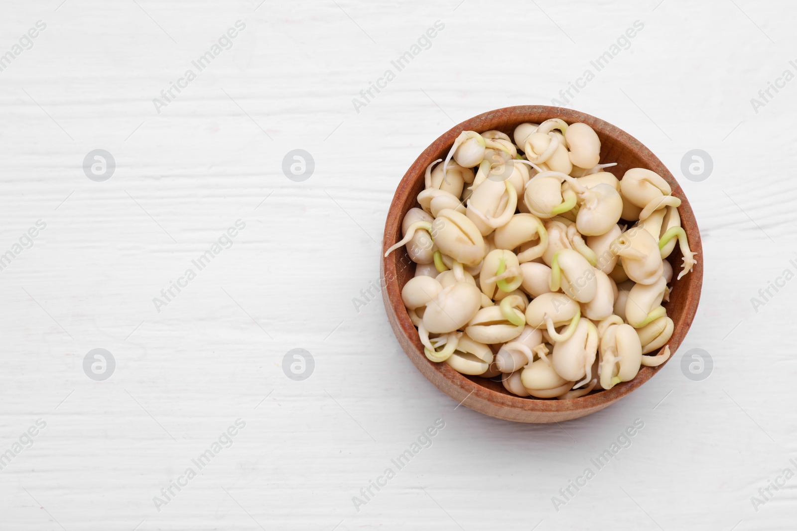 Photo of Sprouted kidney beans in bowl on white wooden table, top view. Space for text