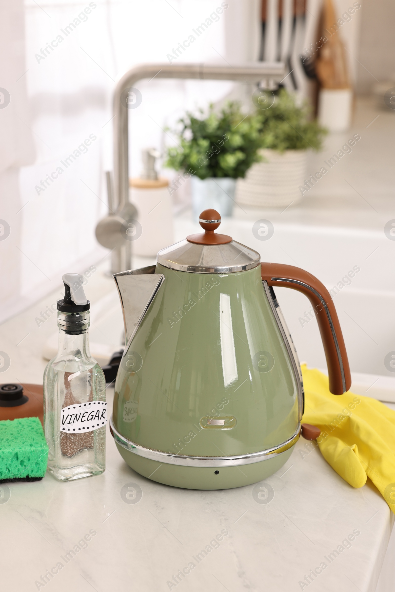 Photo of Cleaning electric kettle. Bottle of vinegar, sponge and rubber glove on countertop in kitchen