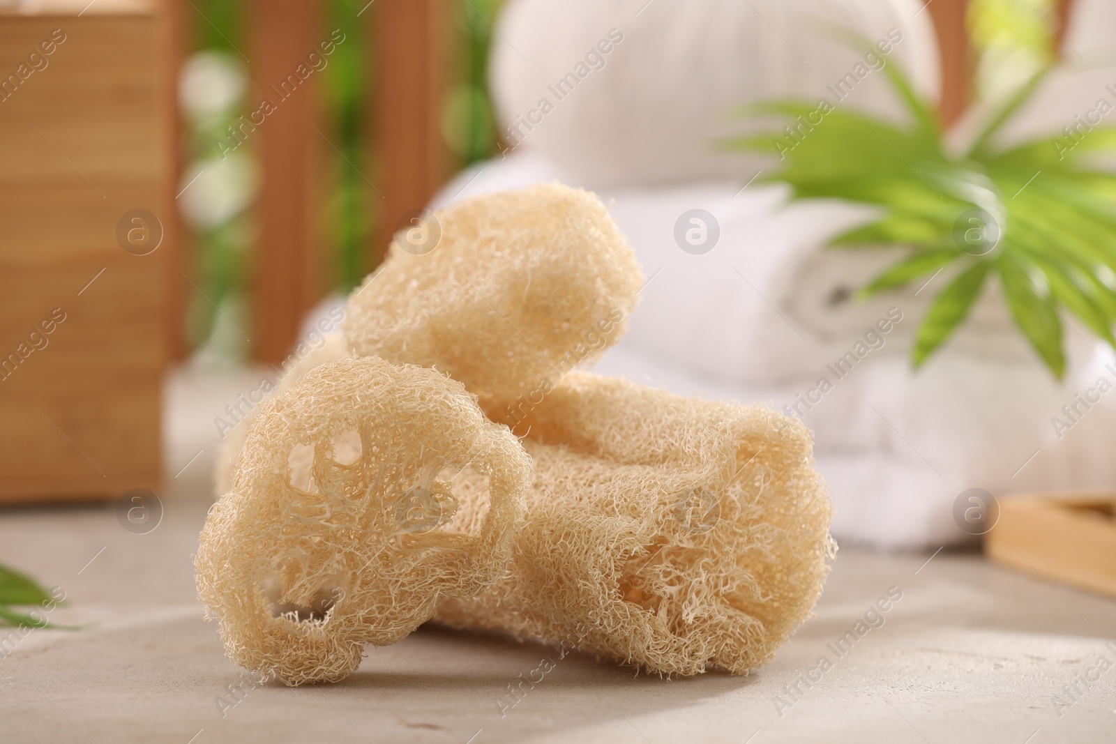 Photo of Natural loofah sponges on grey textured table