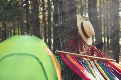 Empty hammock and camping tent in forest on summer day