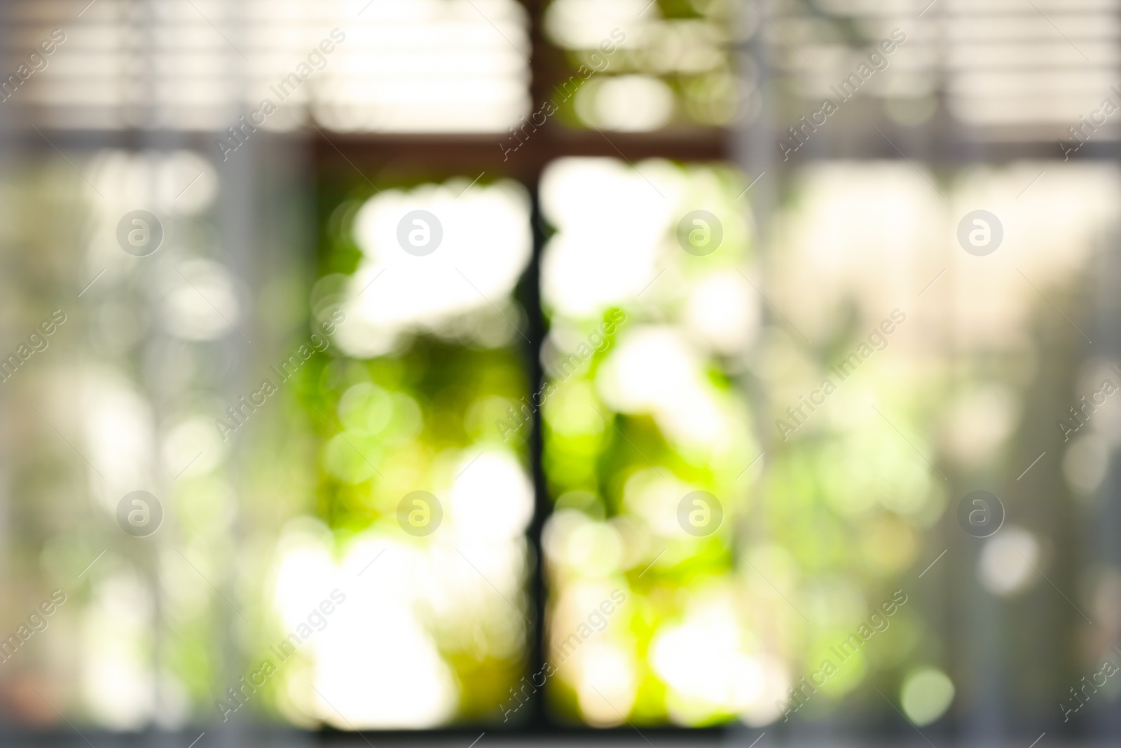 Photo of Blurred view through window on garden in morning