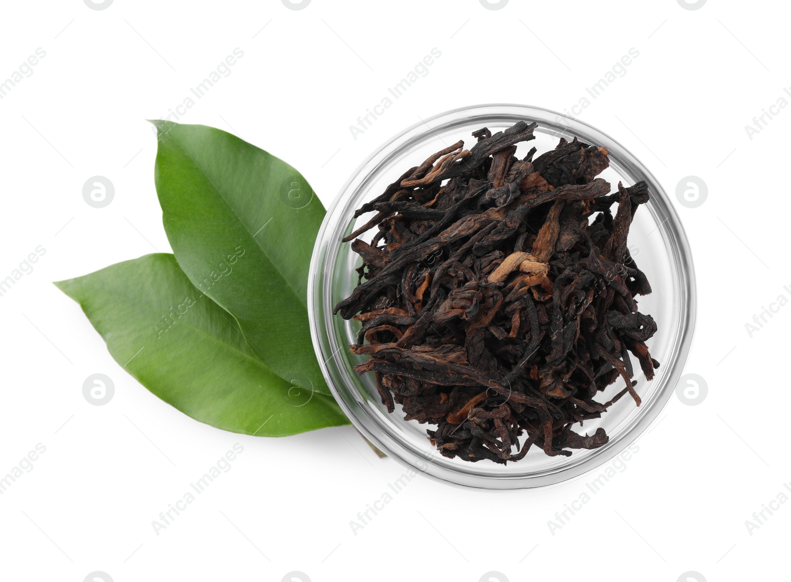 Photo of Traditional Chinese pu-erh tea and fresh leaves isolated on white, top view