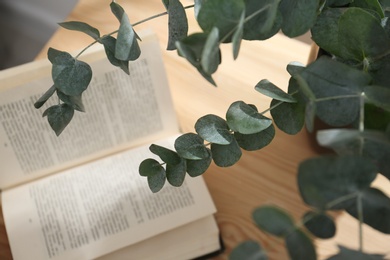 Photo of Beautiful eucalyptus branches and open book on table indoors, above view. Interior element