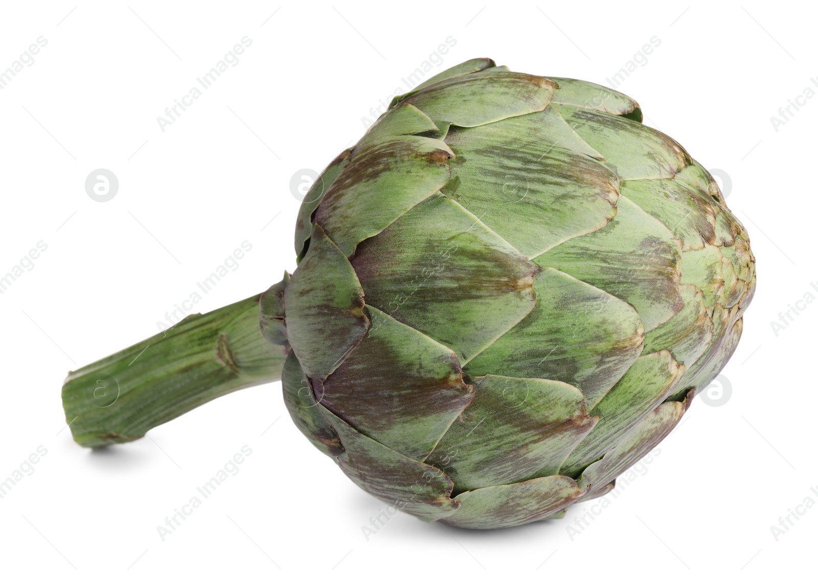 Photo of Whole fresh raw artichoke isolated on white