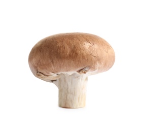 Fresh whole champignon mushroom isolated on white