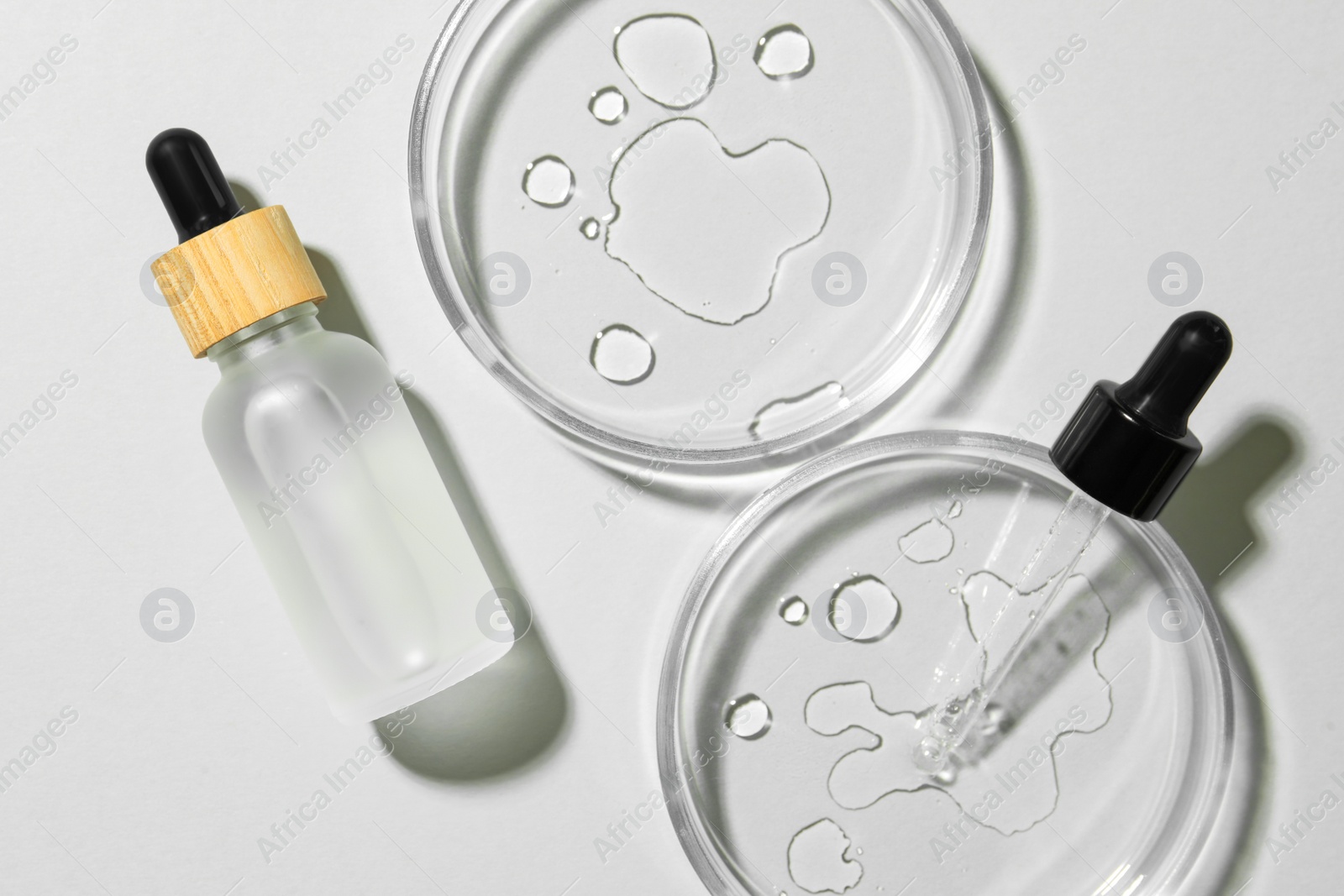 Photo of Flat lay composition with Petri dishes on light grey background