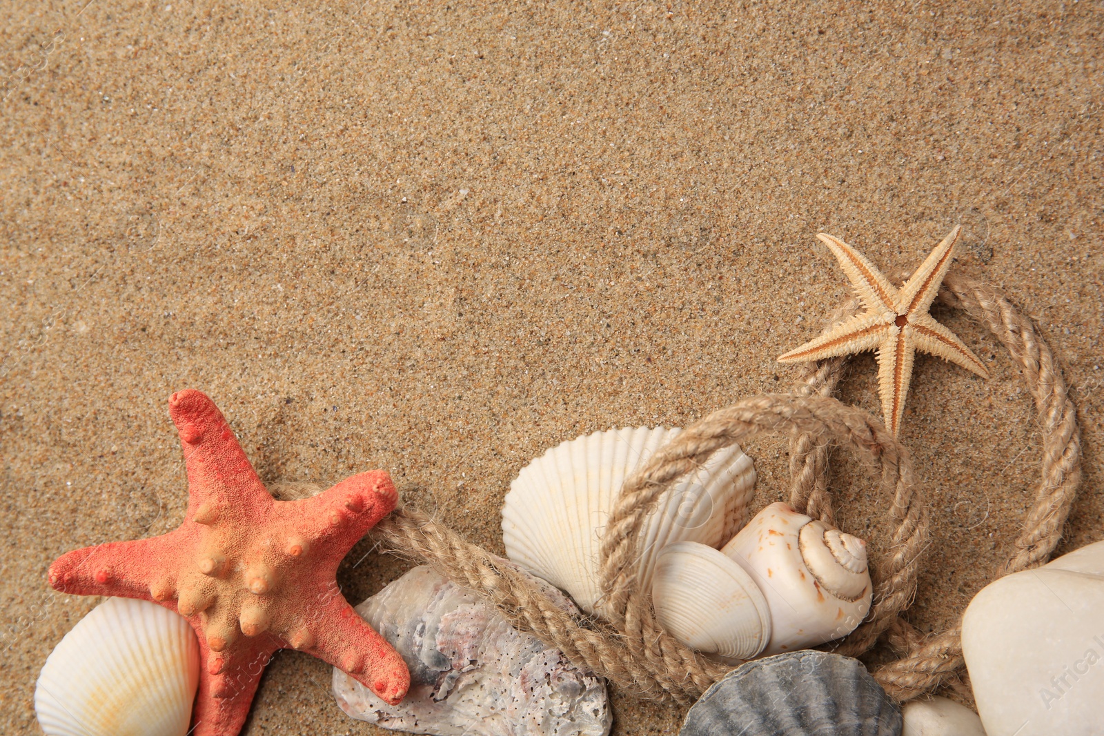 Photo of Beautiful sea stars, shells and rope on sand, flat lay. Space for text