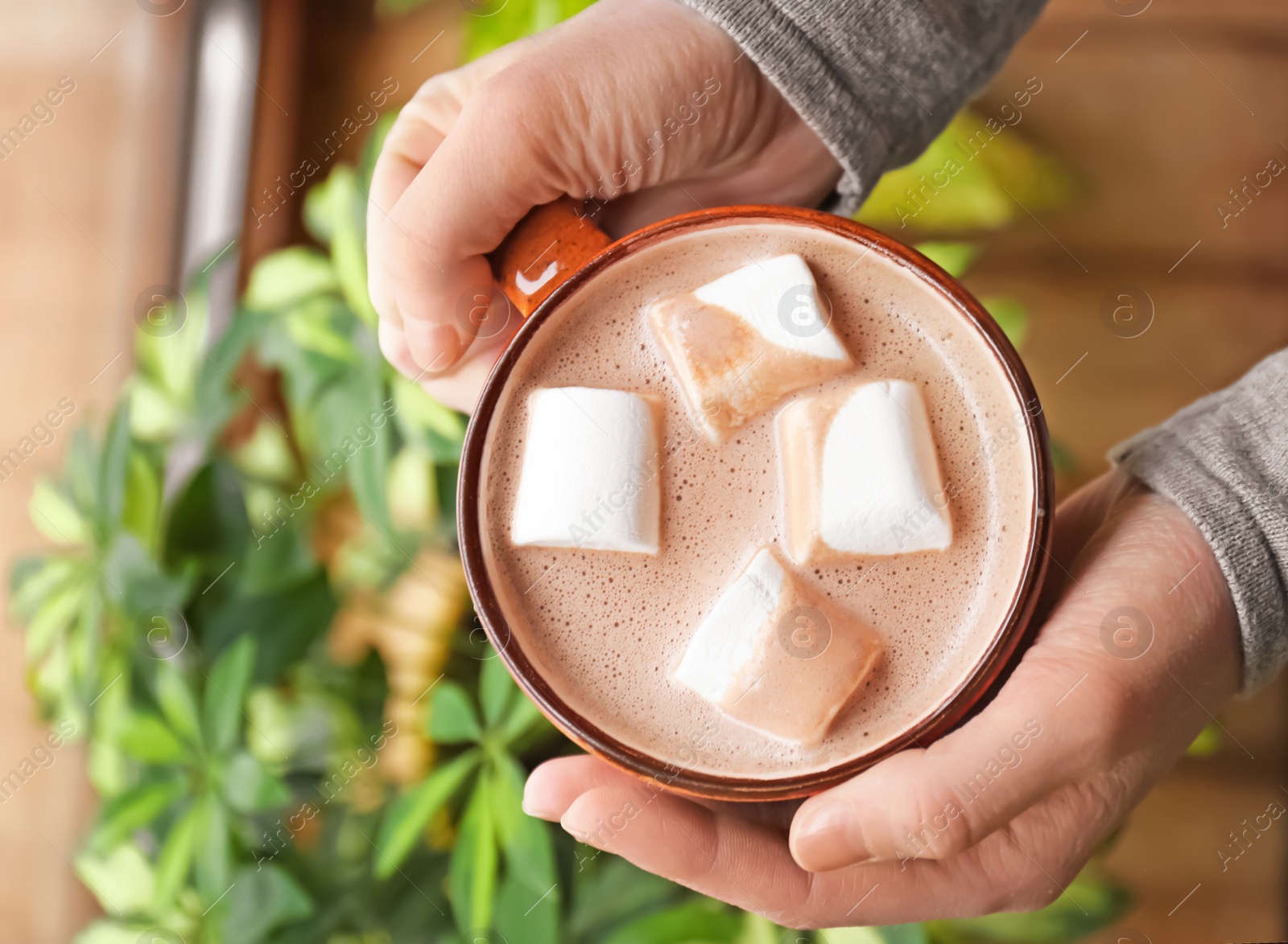 Photo of Woman holding cup of aromatic cacao with   marshmallows, top view