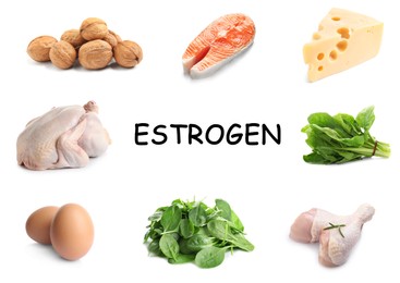 Image of Different foods rich in estrogen that can help you stay feminine. Different tasty products on white background