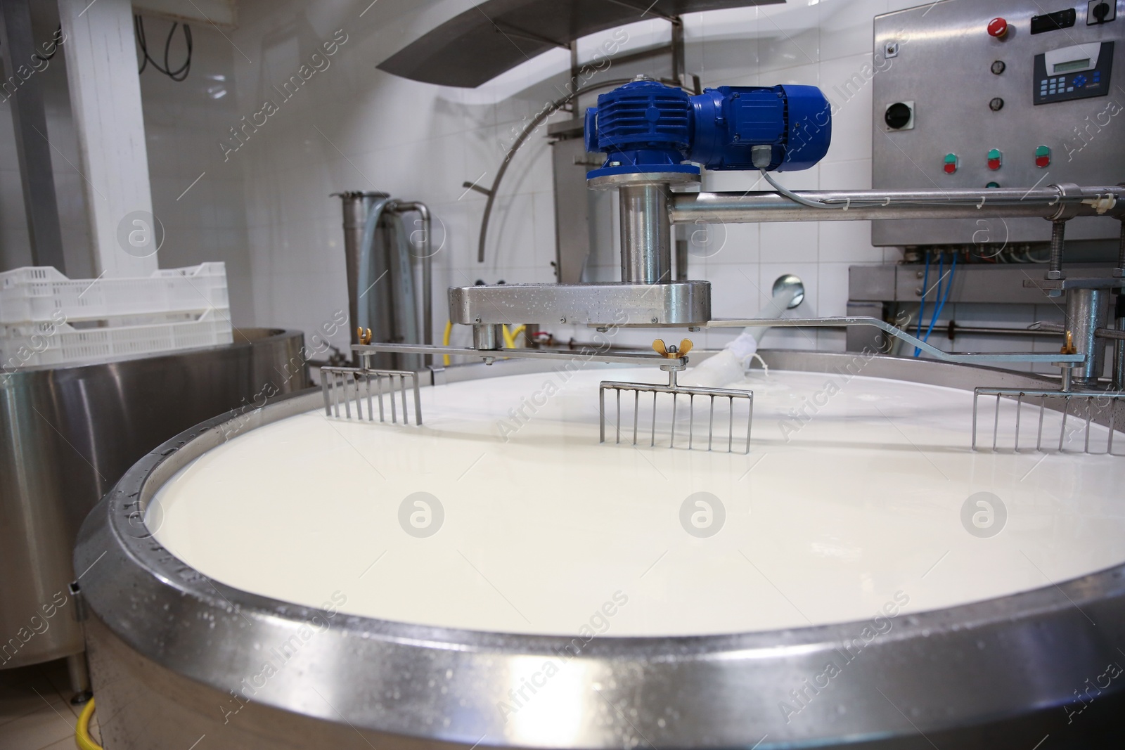 Photo of Milk in curd preparation tank at cheese factory