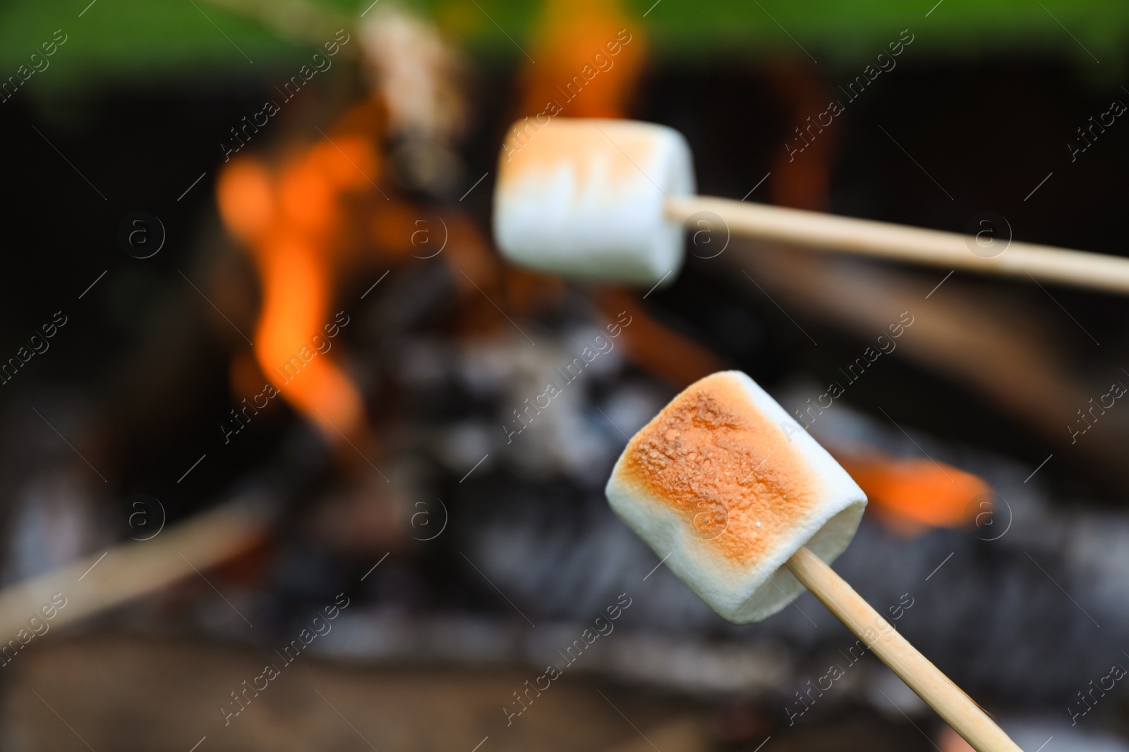 Photo of Delicious puffy marshmallows roasting over bonfire, closeup. Space for text