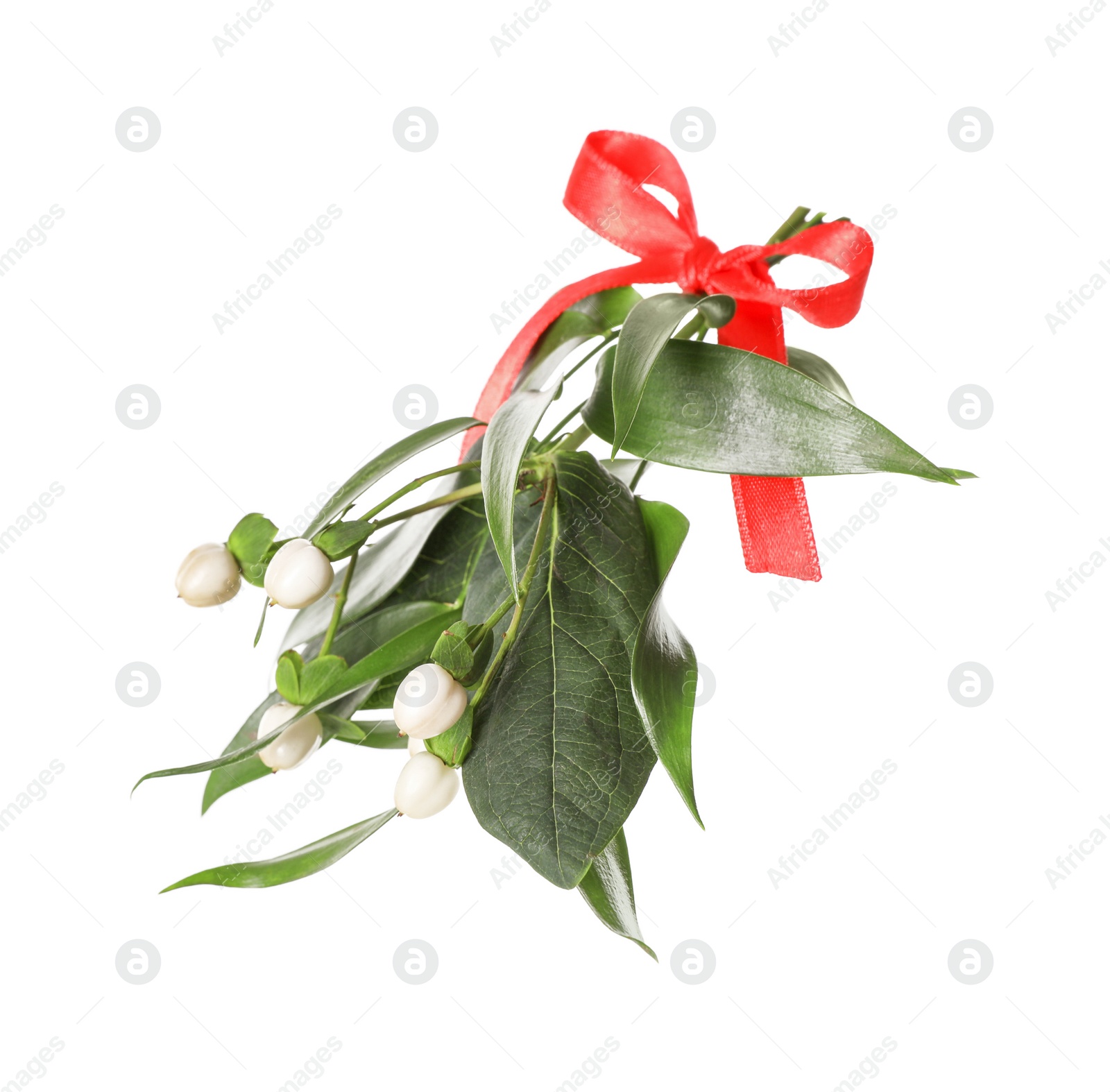 Photo of Mistletoe bunch with red bow isolated on white. Traditional Christmas decor