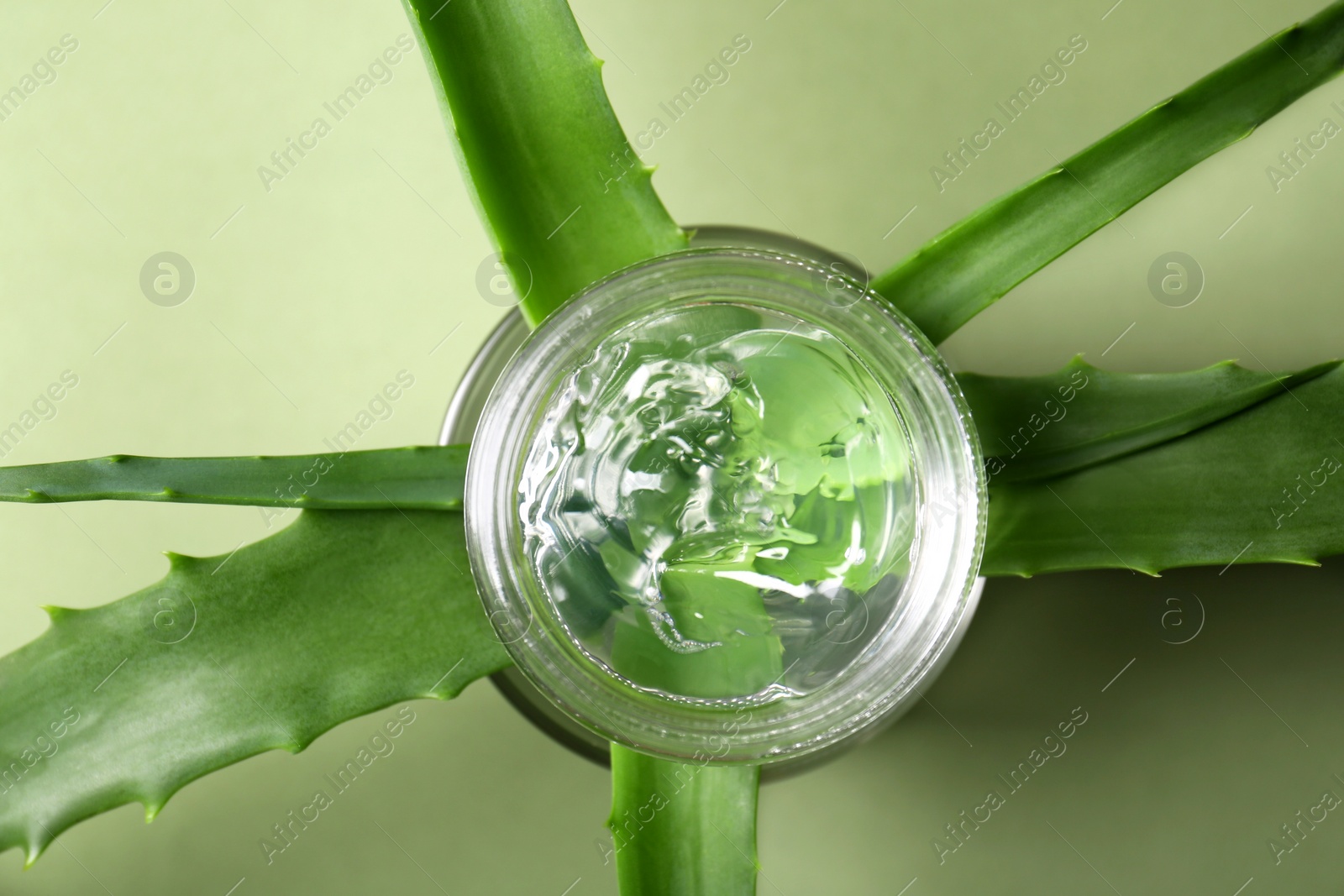 Photo of Aloe leaves and cosmetic gel on olive background, flat lay