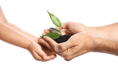 Photo of Man passing soil with green plant to his child on white background. Family concept