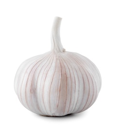 Photo of Fresh garlic on white background. Organic food