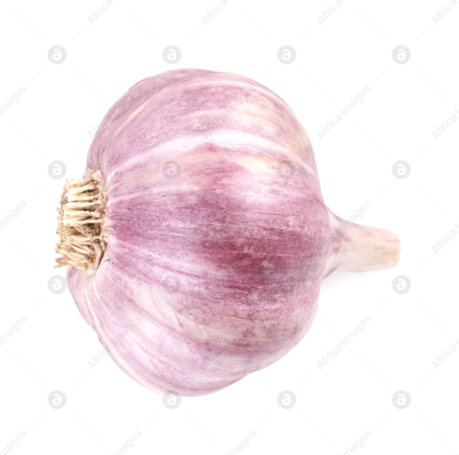 Photo of Head of fresh garlic isolated on white, top view