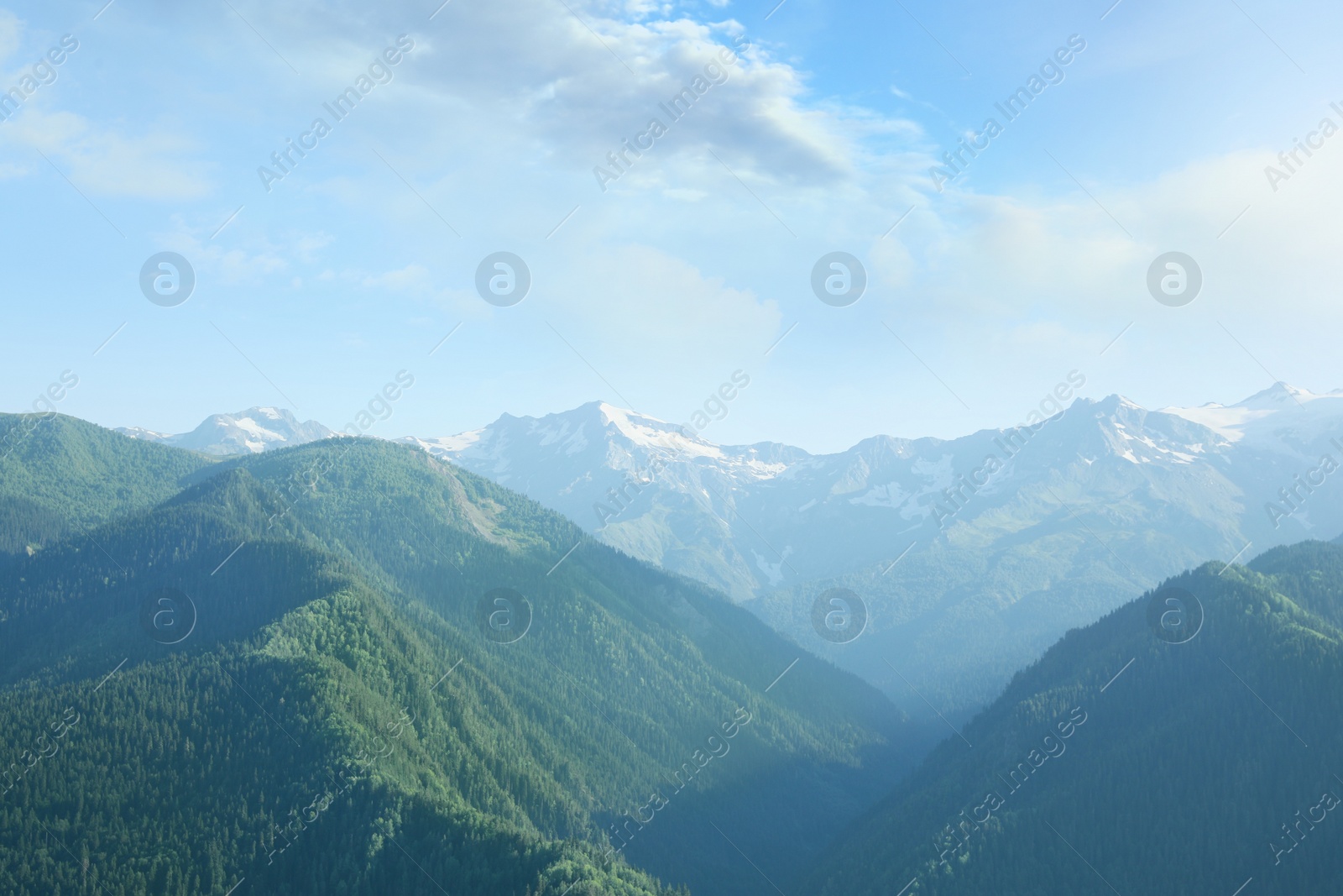 Photo of Aerial view of beautiful landscape with mountain forest on sunny day