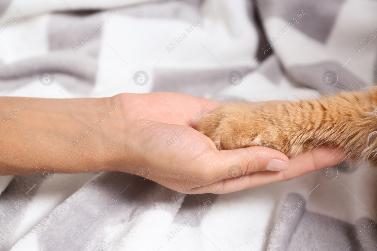 Photo of Woman and cat holding hands together on warm blanket, closeup view
