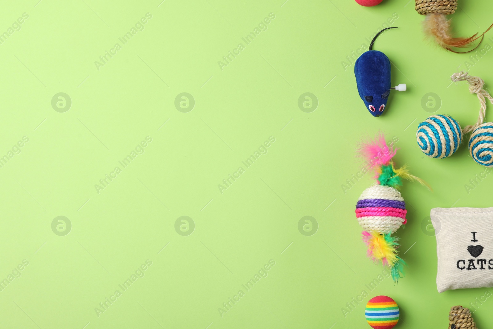 Photo of Flat lay composition with accessories for cat on color background. Pet care