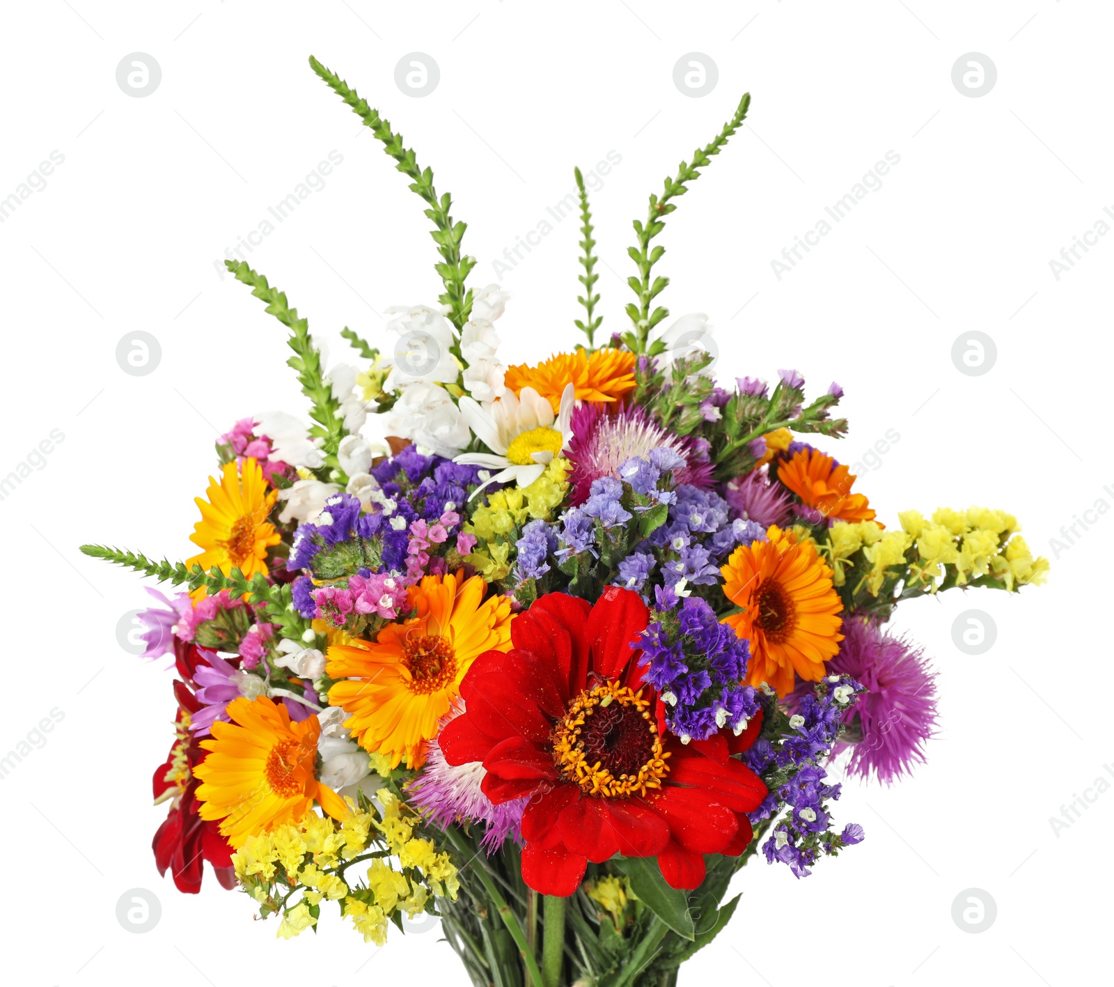 Photo of Bunch of beautiful wild flowers on white background