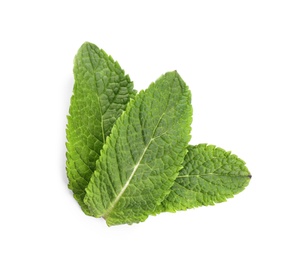 Fresh green mint leaves on white background