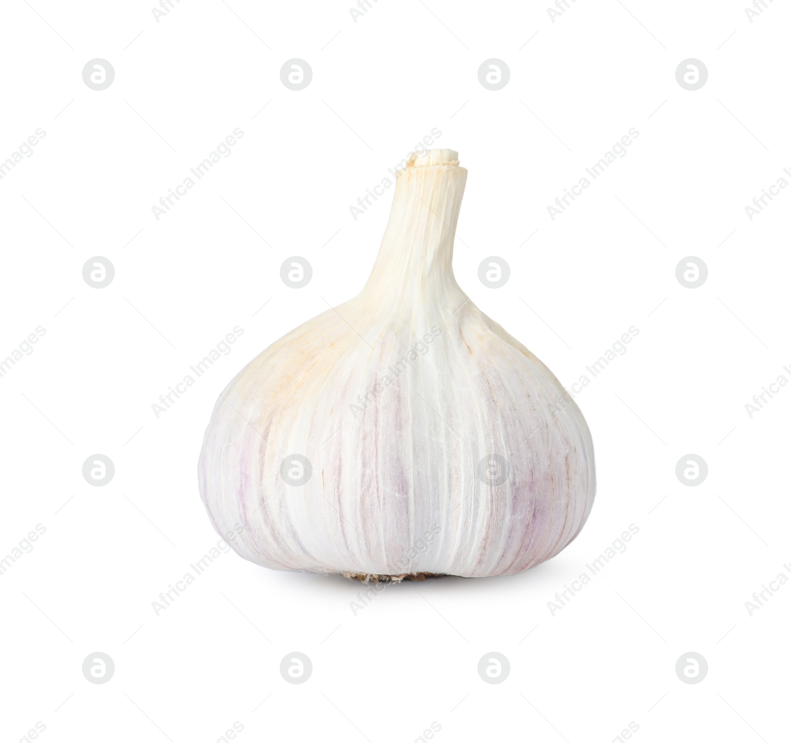 Photo of Fresh organic garlic bulb on white background