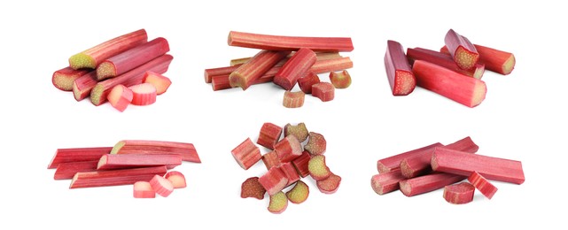 Image of Set with fresh rhubarb stalks isolated on white