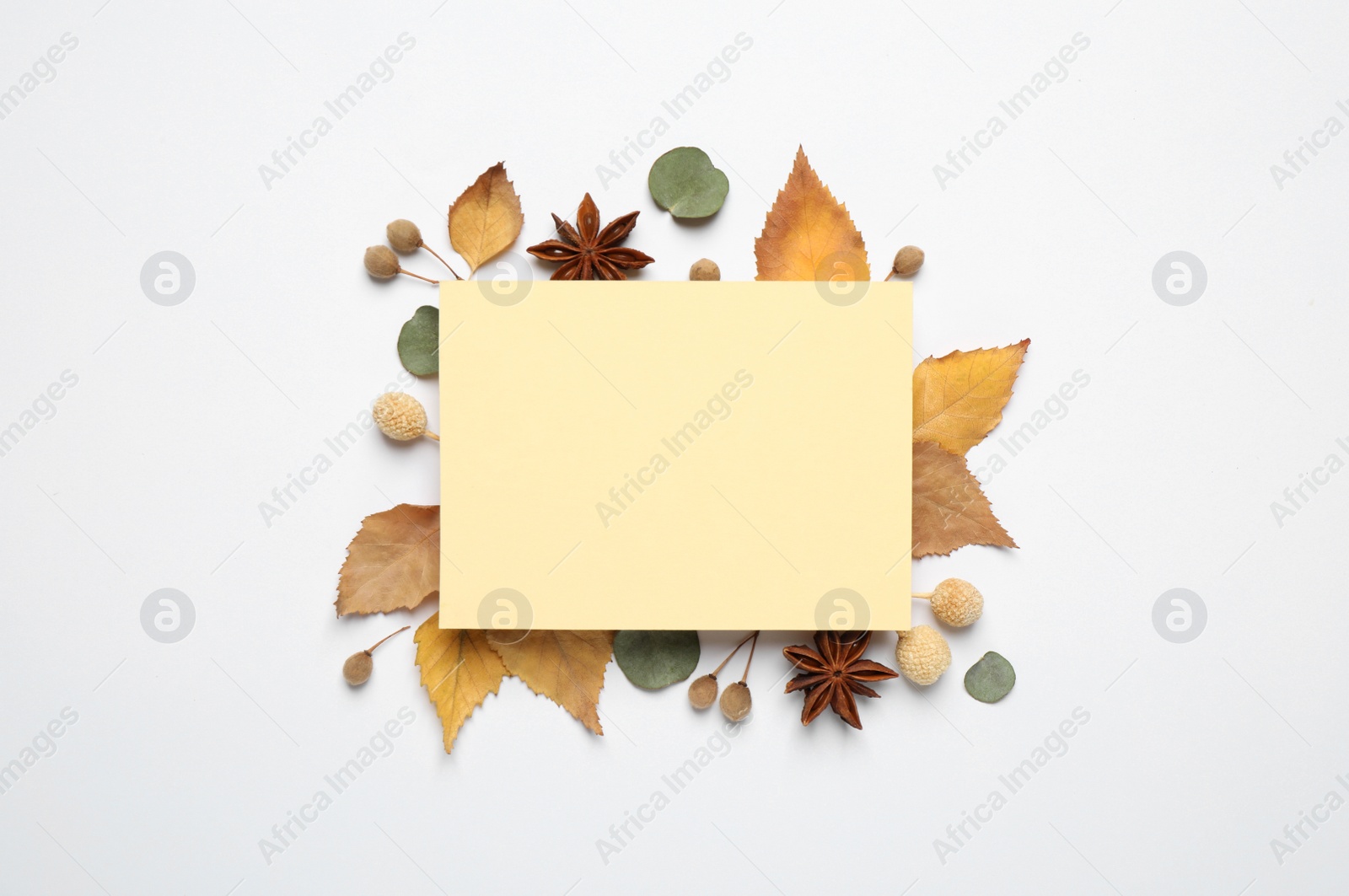 Photo of Flat lay composition with autumn leaves and blank card on white background, space for text