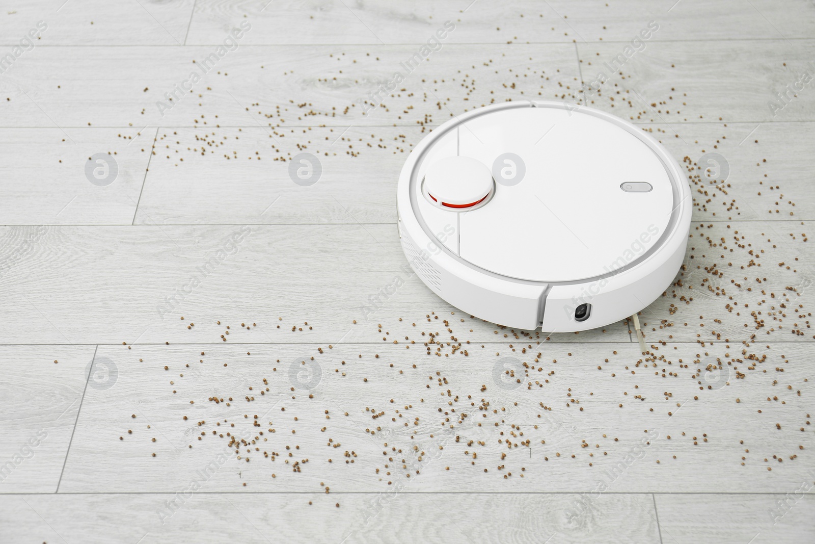 Photo of Removing groats from wooden floor with robotic vacuum cleaner at home. Space for text