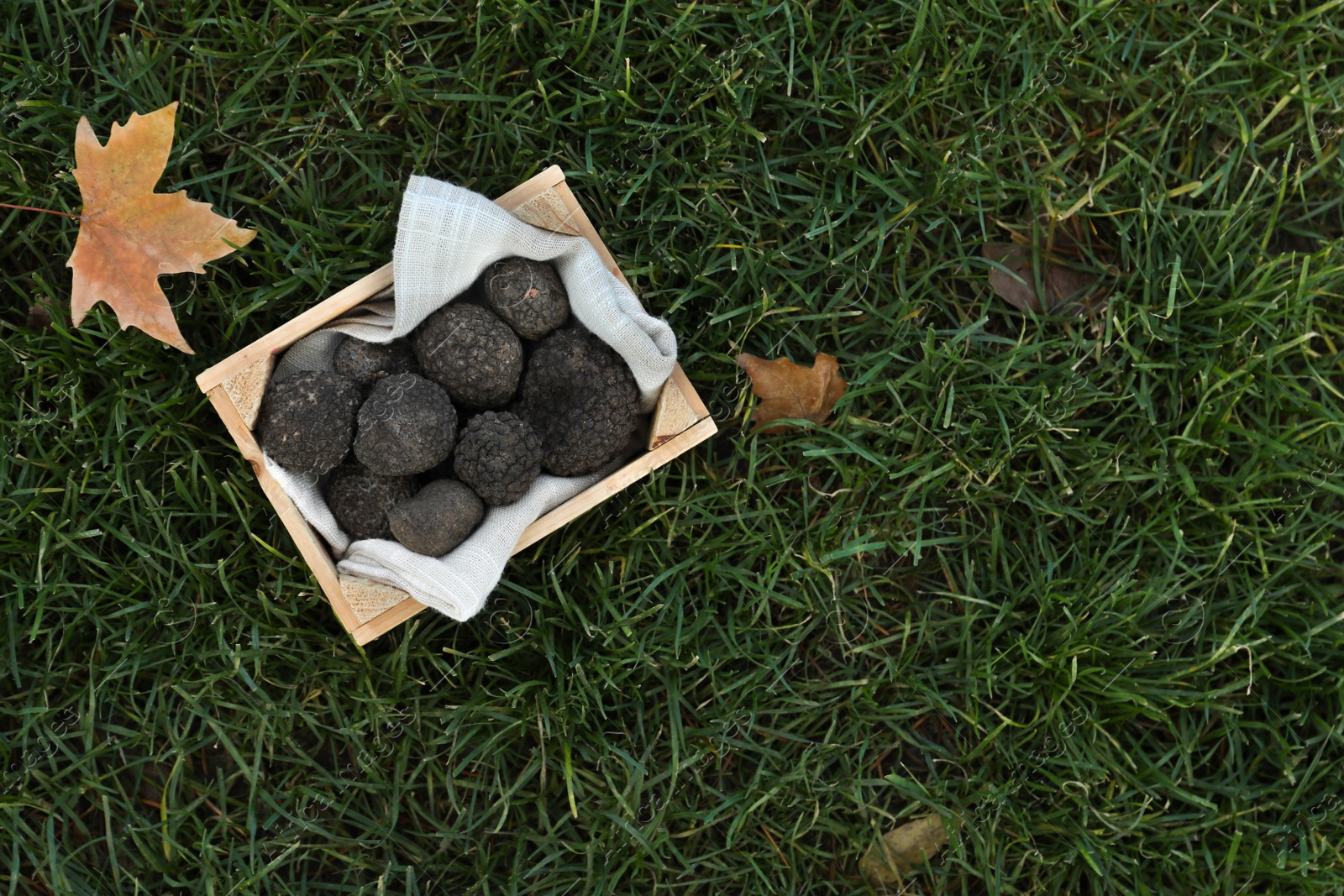 Photo of Truffles in wooden crate on green grass, top view. Space for text