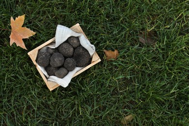 Photo of Truffles in wooden crate on green grass, top view. Space for text