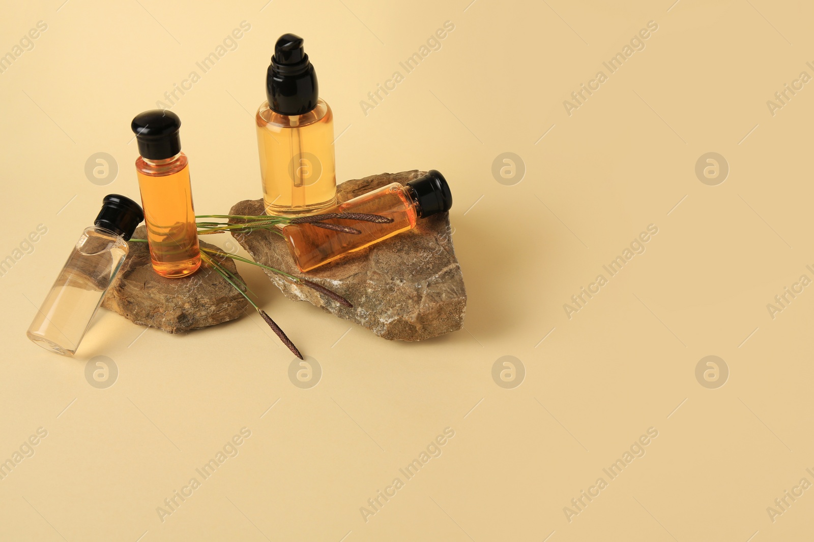 Photo of Bottles with cosmetic products, stones and reeds on beige background. Space for text