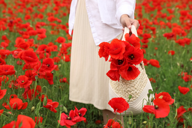 Woman holding handbag with poppy flowers in beautiful field, closeup