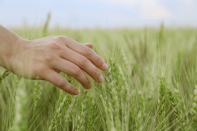 Woman in field with ripening wheat, closeup