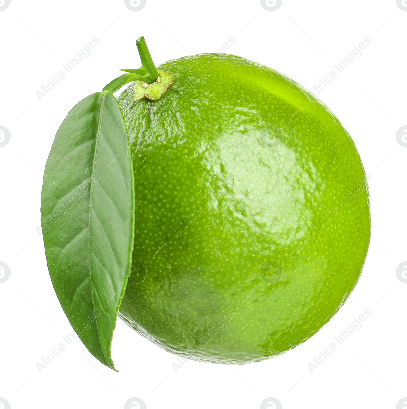 Photo of Fresh green ripe lime with leaf isolated on white