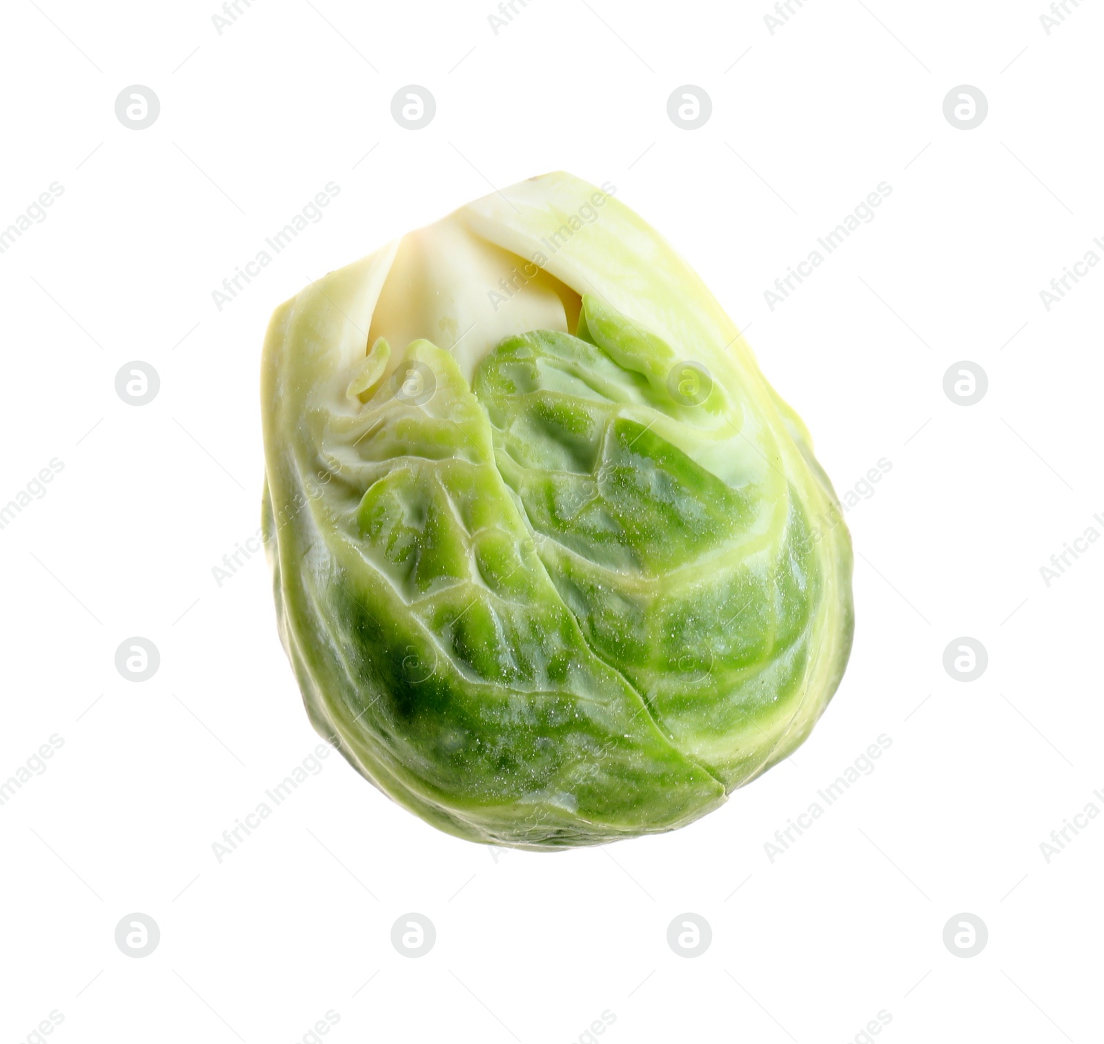 Photo of Fresh tasty Brussels sprout isolated on white