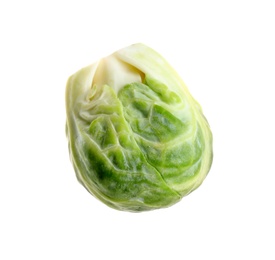 Fresh tasty Brussels sprout isolated on white