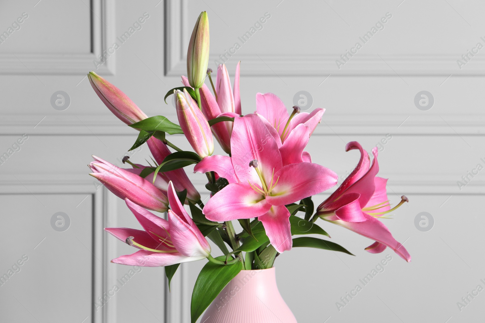 Photo of Beautiful pink lily flowers in vase against light wall